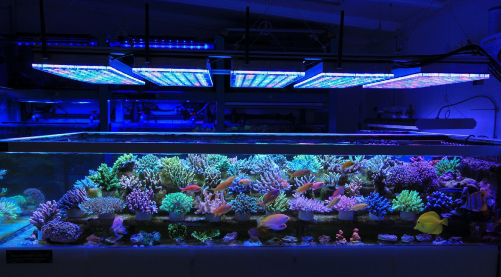 /coral-farm-led-light-1-jpg.